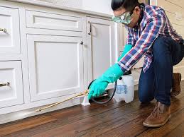 Best Pest Exclusion Services  in Gibsonton, FL