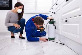 Best Fumigation Services  in Gibsonton, FL