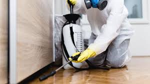 Reliable Gibsonton, FL Pest Control Solutions